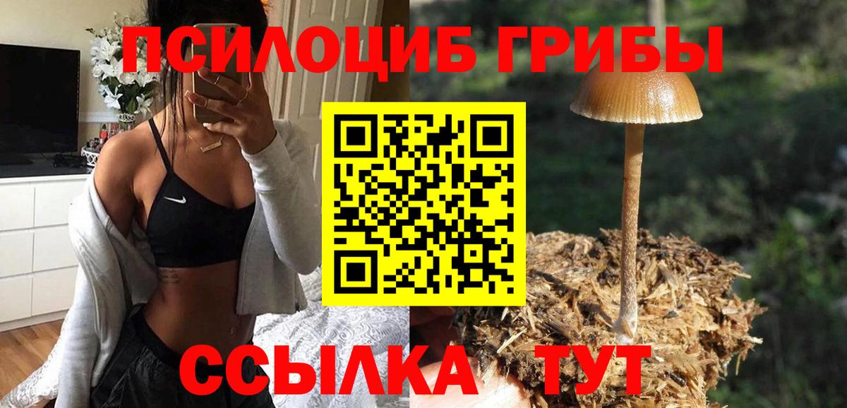 Псилоцибиновые грибы Cubensis  Вход с VPN  Чапаевск  Галлюциногенные грибы Cubensis 