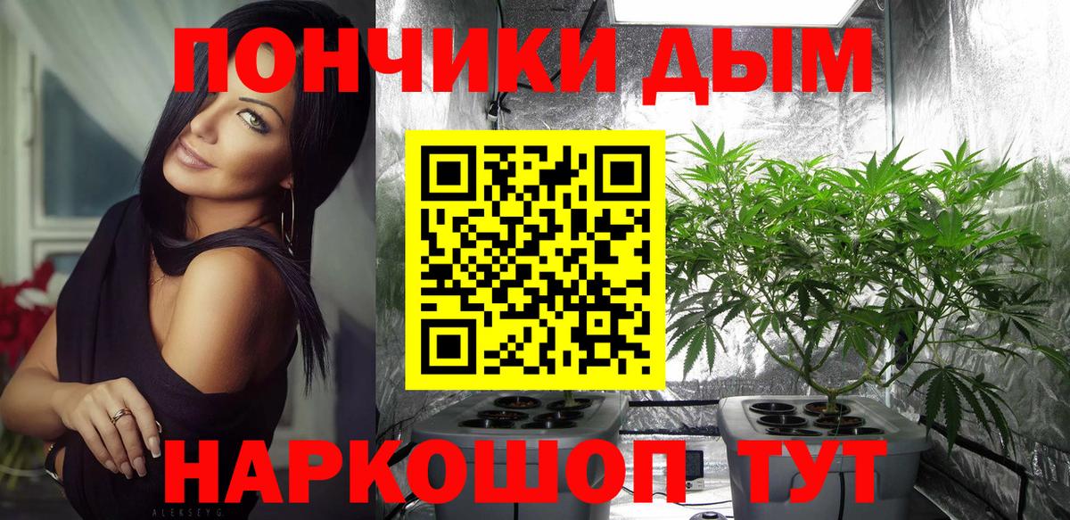 Канабис ГИДРОПОН  Марихуана сатива  Вход с VPN  Бошки марихуана индика  Каннабис сатива  Чапаевск 